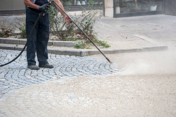 Best Animal Enclosure Cleaning  in Fernley, NV